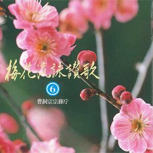 梅花流CD　No.6